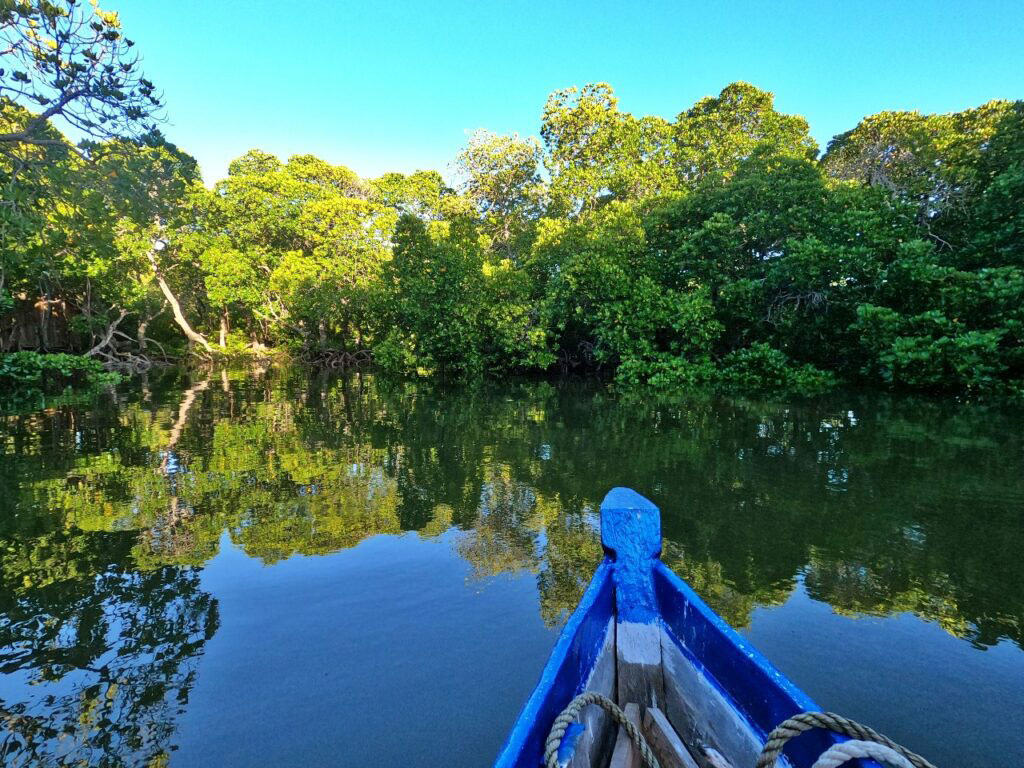 escursione alle Mangrove e giro in canoa